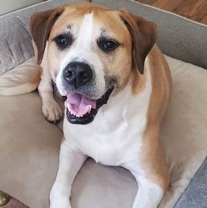 Meet your Posher, Carole